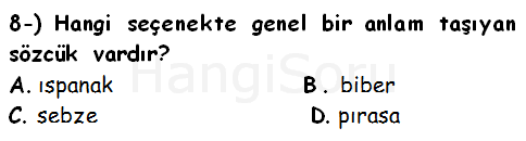 Soru 8