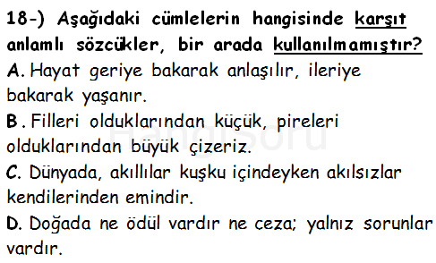 Soru 18