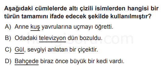 Soru 2