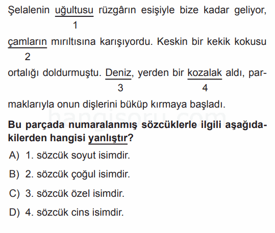 Soru 4