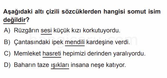 Soru 5