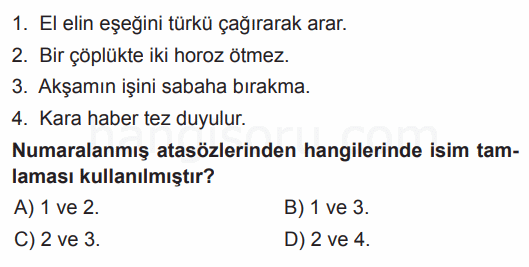 Soru 7