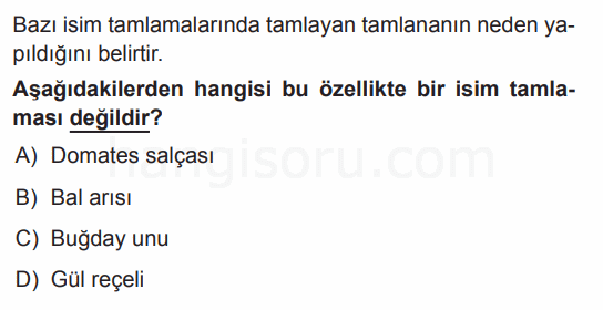 Soru 12