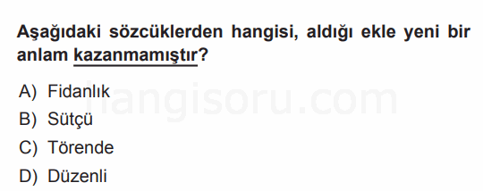 Soru 9