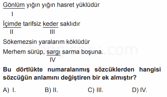 Soru 10