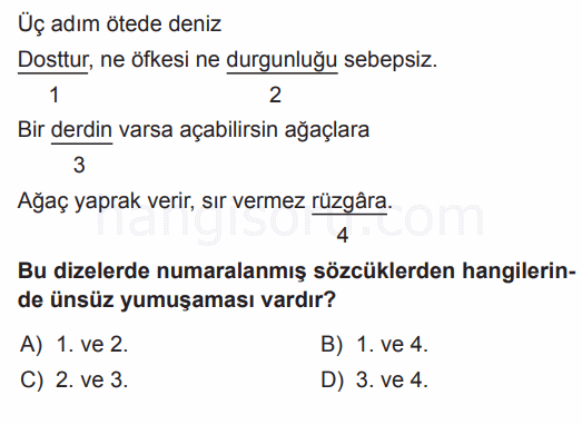Soru 1