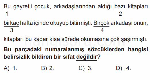Soru 7