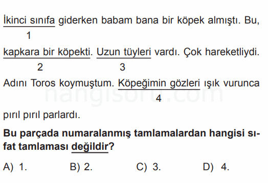 Soru 12
