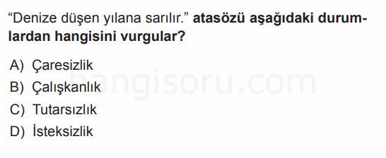 Soru 12