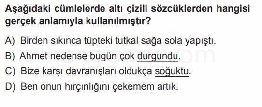 Soru 4