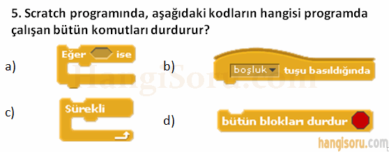 Soru 5