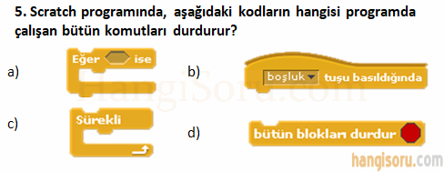 Soru 5