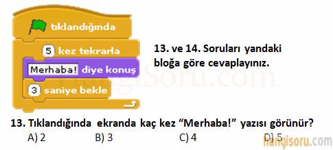 Soru 13