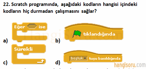 Soru 22