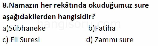 Soru 8