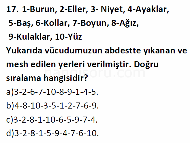 Soru 17