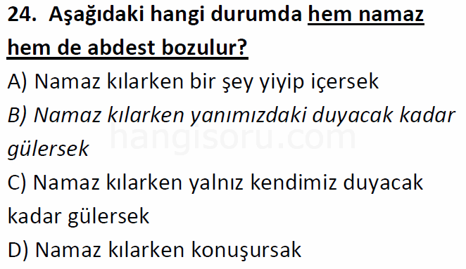 Soru 24