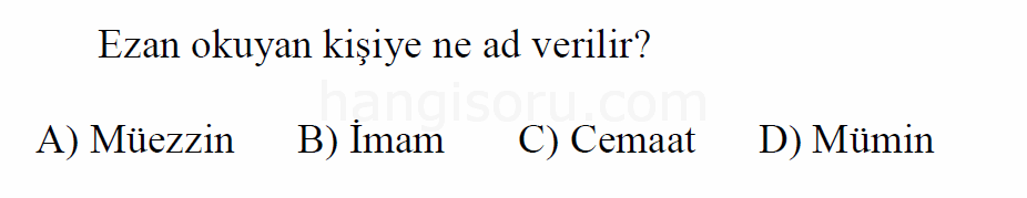 Soru 3