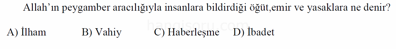 Soru 5
