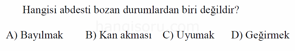 Soru 6