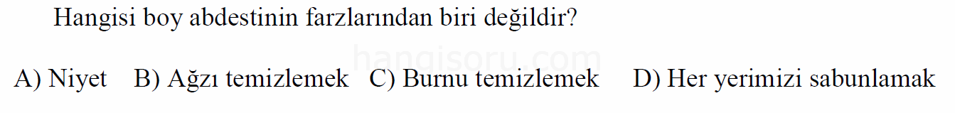 Soru 7