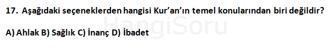 Soru 17