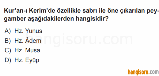 Soru 3