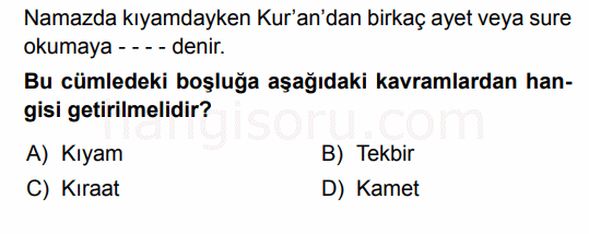 Soru 7