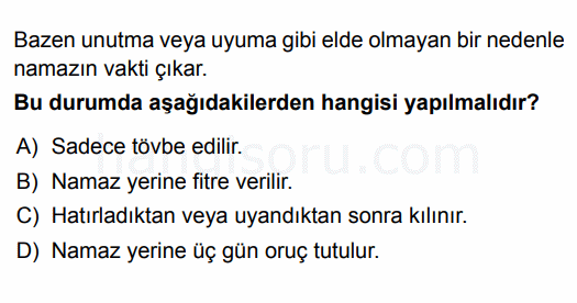 Soru 11