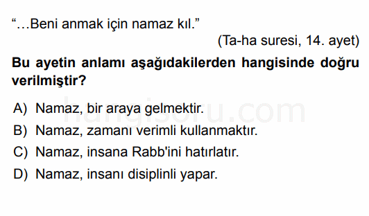 Soru 8