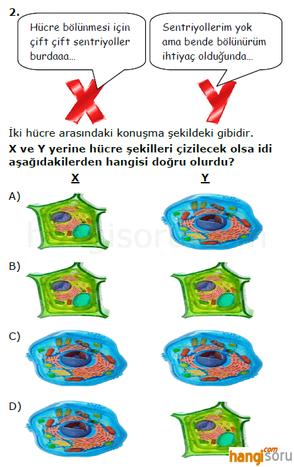 Soru 2