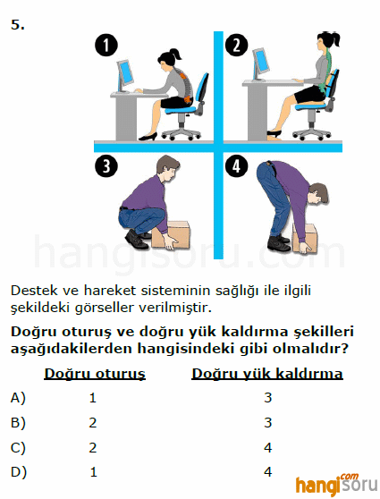 Soru 5