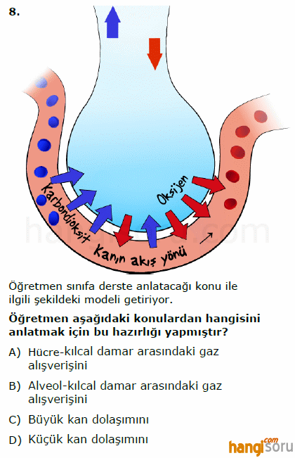 Soru 8
