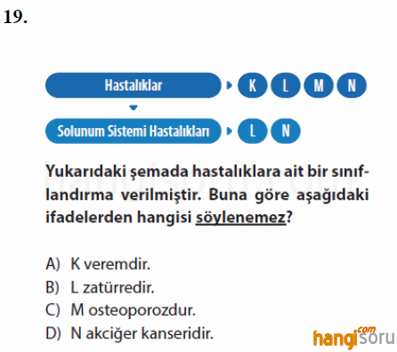 Soru 19