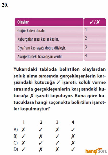 Soru 20