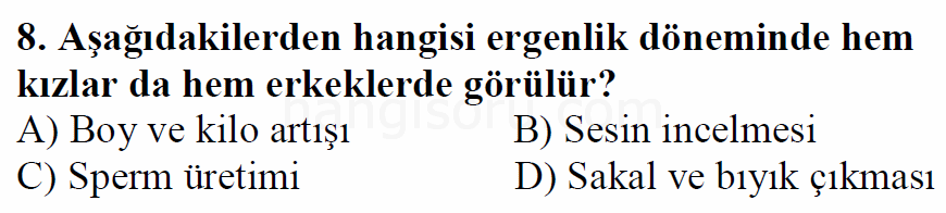 Soru 8
