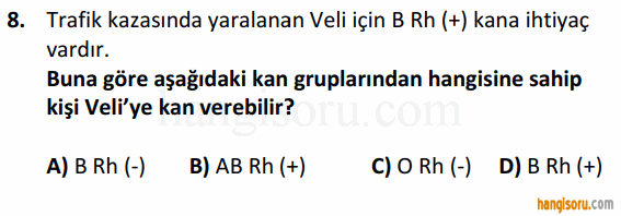 Soru 8