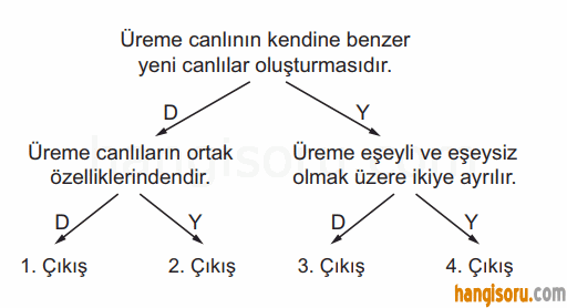 Soru 1