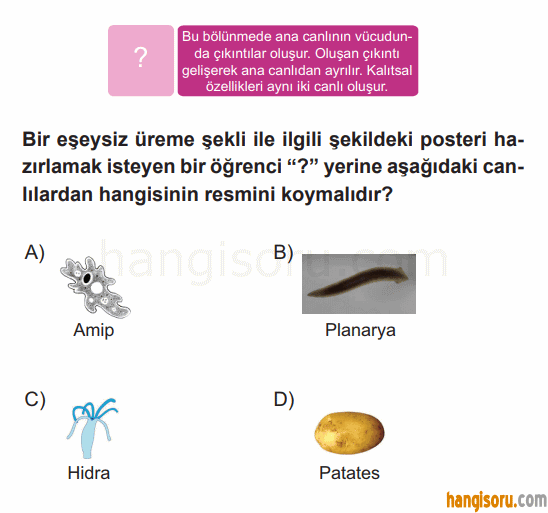 Soru 4