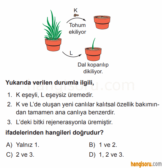 Soru 1