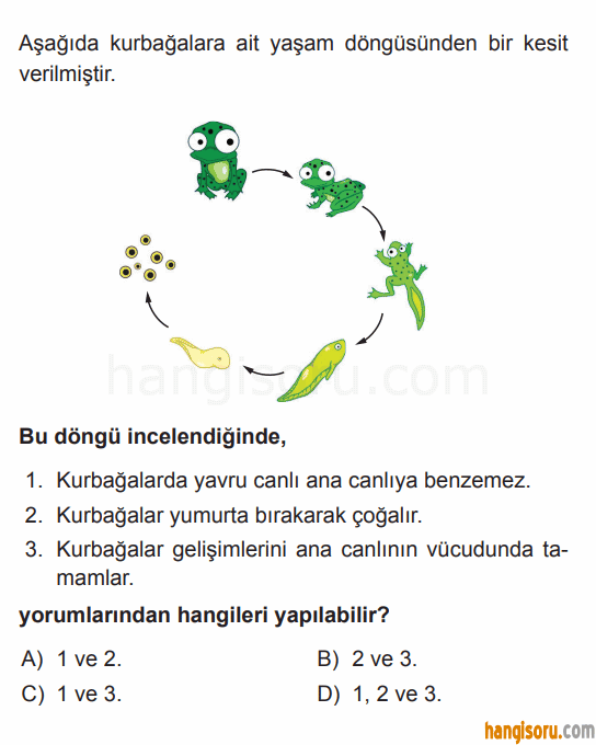 Soru 5