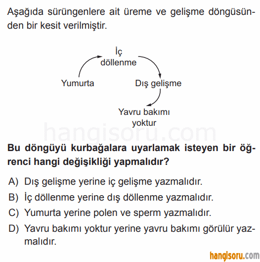 Soru 6