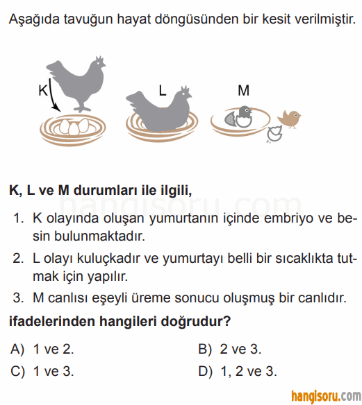 Soru 8