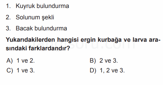 Soru 1