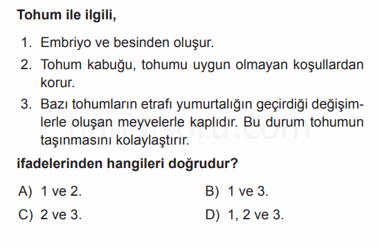 Soru 4