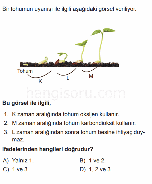 Soru 10