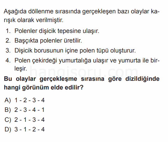 Soru 11