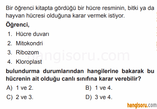 Soru 2