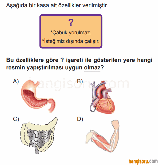 Soru 3
