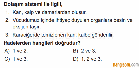 Soru 4